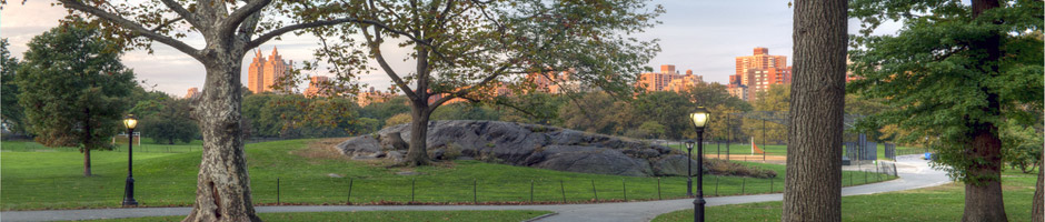 LandSite Commercial Landscaping
